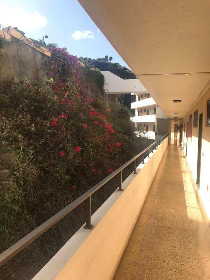 Apartamento Privado Frente Al Atlantico Daire La Matanza De Acentejo Dış mekan fotoğraf